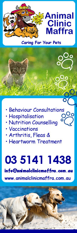 Animal Clinic Maffra