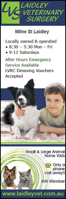 Laidley Veterinary Surgery