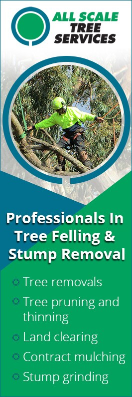 All Scale Tree Services