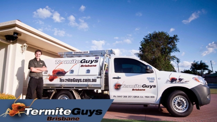 Termite Guys Brisbane Hero Image