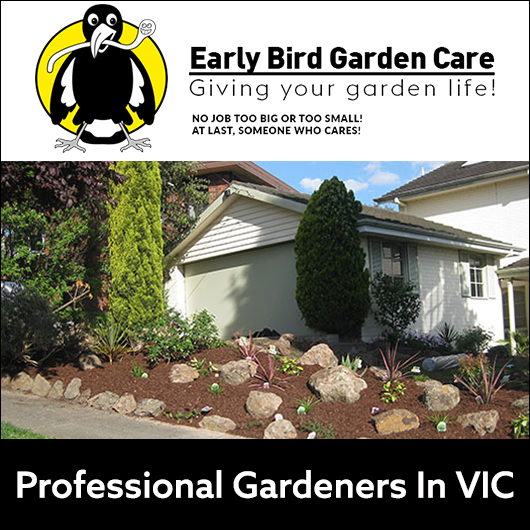 Early Bird Garden Care