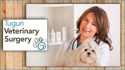 Tugun Veterinary Surgery Hero Image