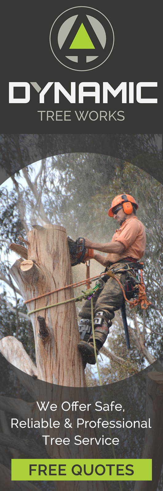 Dynamic Tree Works