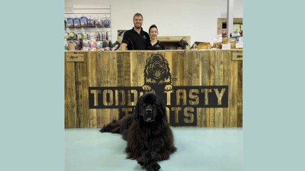 Todd's Tasty Treats Hero Image