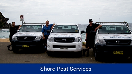 Shore Pest Services Hero Image