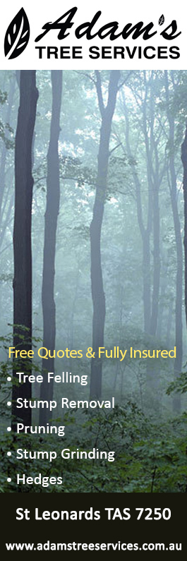Adams Tree Services