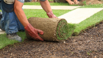 Gough's Turf Supplies Hero Image