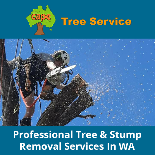 Cape Tree Service Mount Barker, Porongurup and Kendenup