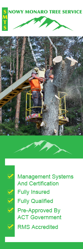 Snowy Monaro Tree Service