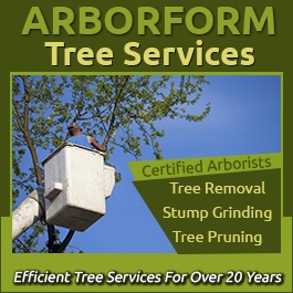 Arborform Tree Service