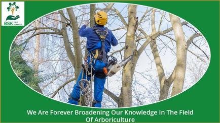 BSK tree services pty ltd Hero Image