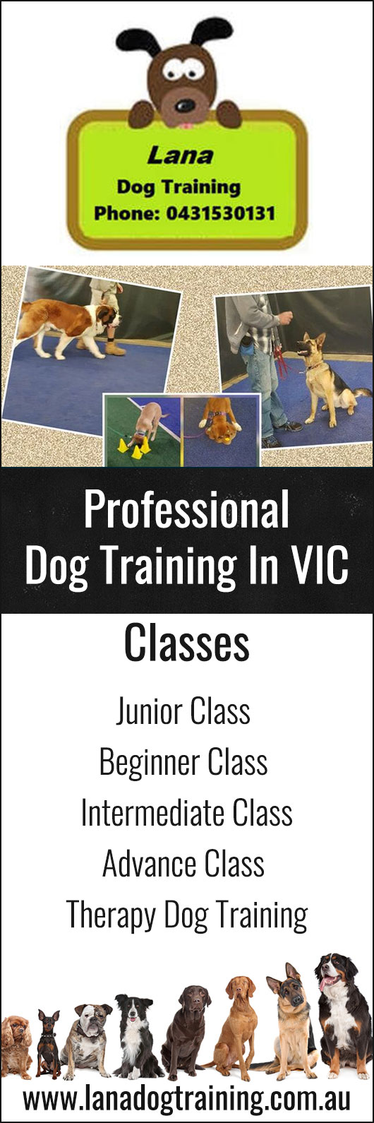 Lana's Dog Training