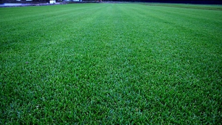Eastern Turf Traders Pty Ltd Hero Image