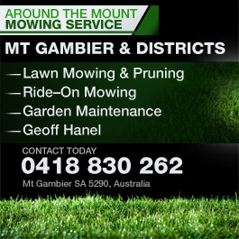Around The Mount Mowing Service