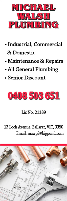 Walsh Michael Plumbing