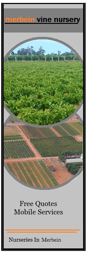 Merbein Vine Nursery