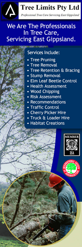 Tree Limits