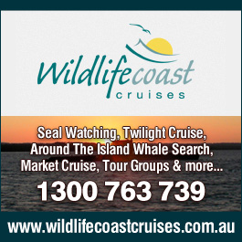 Wildlife Coast Cruises