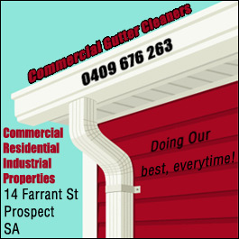 Commercial Gutter Cleaners