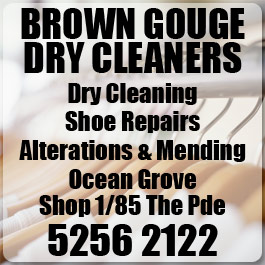 Brown Gouge Dry Cleaners