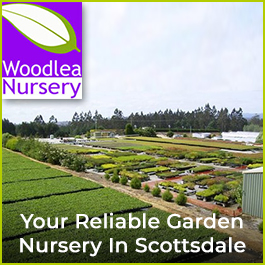 Woodlea Nursery Pty Ltd