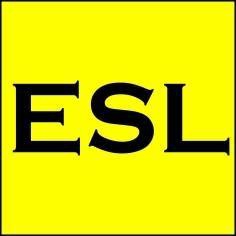 ESL Lock Professionals Hero Image