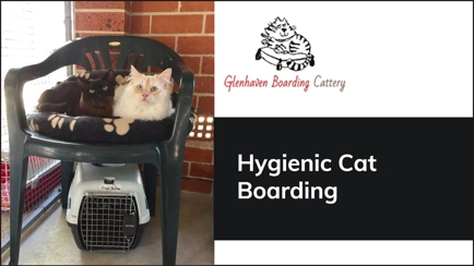 Glenhaven Boarding Cattery Hero Image
