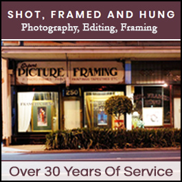 Shot, Framed & Hung