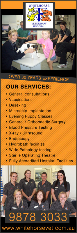 Whitehorse Veterinary Hospital