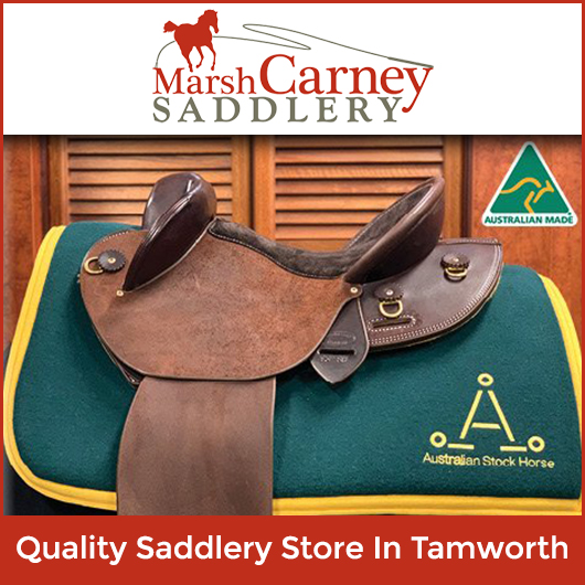 Marsh Carney Saddlery / Hiscocks Saddlery Store