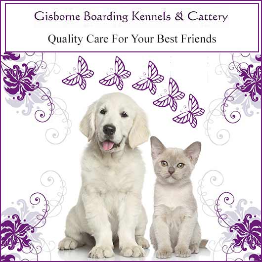 Gisborne Boarding Kennels & Cattery