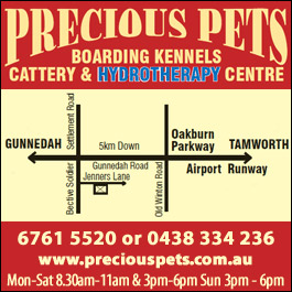 Pets Boarding Kennels, Cattery And Hydrotherapy Centre