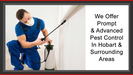Insects-r-gon Pest Control Hero Image