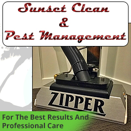 Sunset Clean & Pest Management
