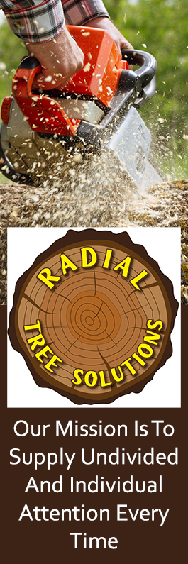 Radial Tree Solutions