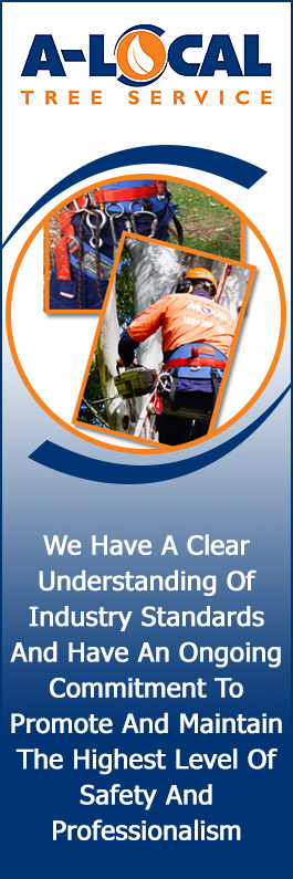 A-Local Tree Services