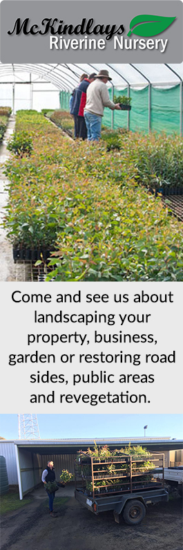 McKindlays Riverine Nursery