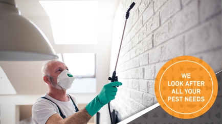 Atrax Services Pest Control Hero Image