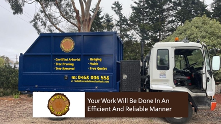 Radial Tree Solutions Hero Image