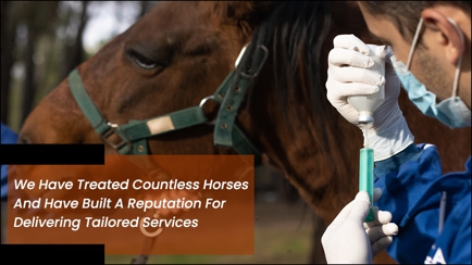 Warren Brett Equine Veterinarian Hero Image
