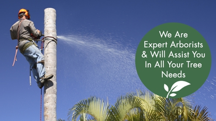 Greater Gippsland Tree & Garden Care Hero Image