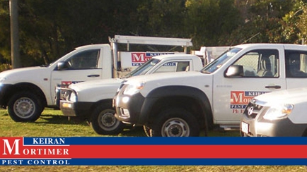 Keiran Mortimer Pest Control Hero Image