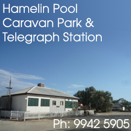 Hamelin Pool Caravan Park & Telegraph Station