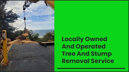 E&T Tree Services And Stump Grinding Hero Image
