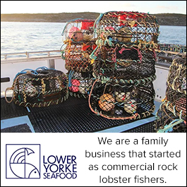 Lower Yorke Seafood