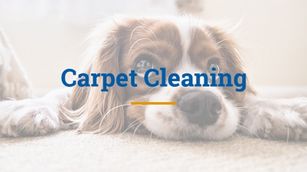 Diamond Carpet Cleaning Hero Image