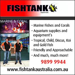 Fishtank Aquarium