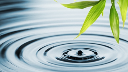 Paap's Cleansing Services Hero Image