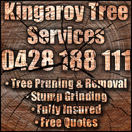 Kingaroy Tree Services