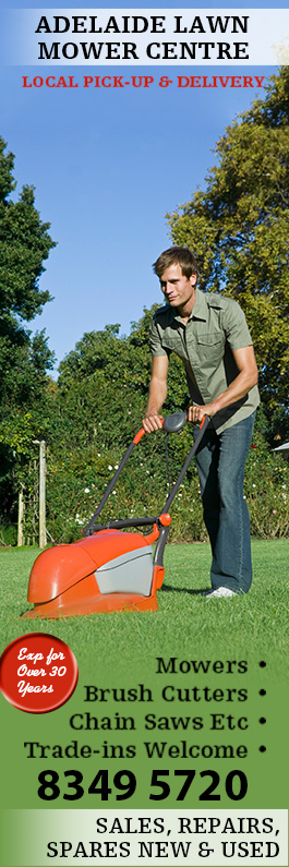 Adelaide Lawn Mower Centre